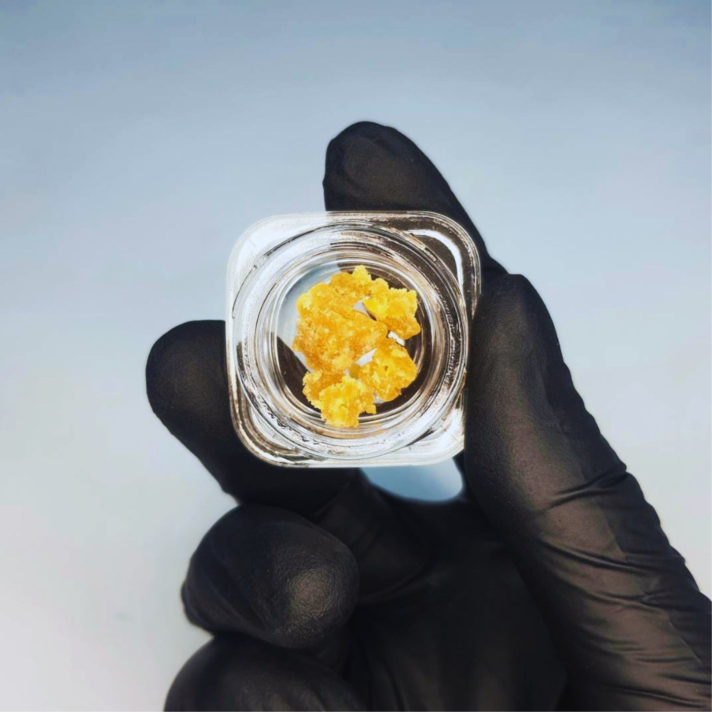 CONCENTRATE | LIVE RESIN SUGAR - PLAMETTO PINEAPPLE
