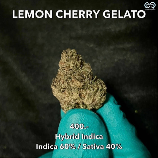 Cannabis Lemon Cherry Gelato