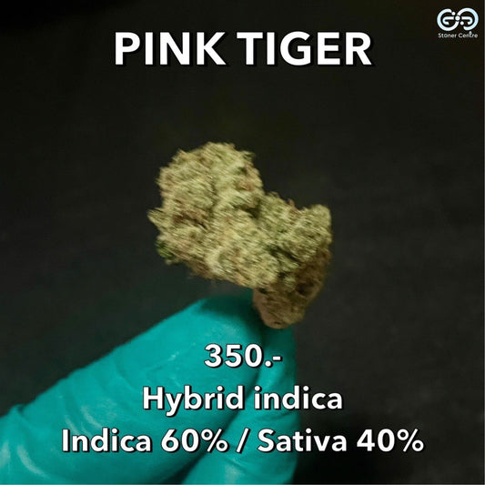 Cannabis Pink Tiger