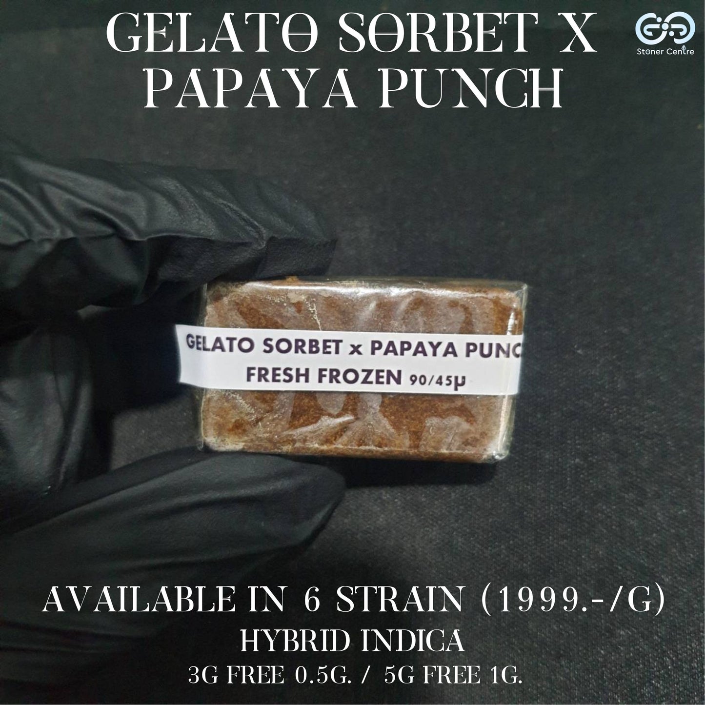 FRESH FROZEN HASH | Gelato Sorbet X Papaya Punch