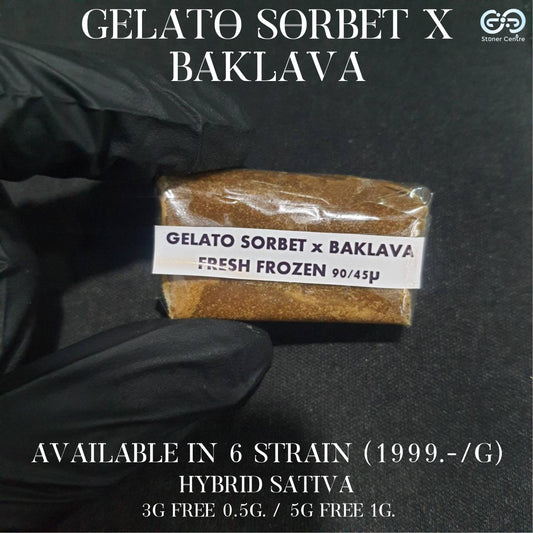 FRESH FROZEN HASH | Gelato Sorbet X Baklava