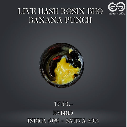 LIVE HASH ROSIN BHO | BANANA PUNCH