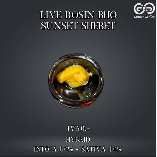 LIVE ROSIN BHO | SUNSET SHEBET