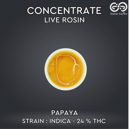 CONCENTRATE LIVE ROSIN | PAPAYA