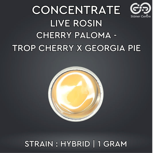 CONCENTRATE LIVE ROSIN | CHERRY PALOMA - TROP CHERRY X GEORGIA PIE
