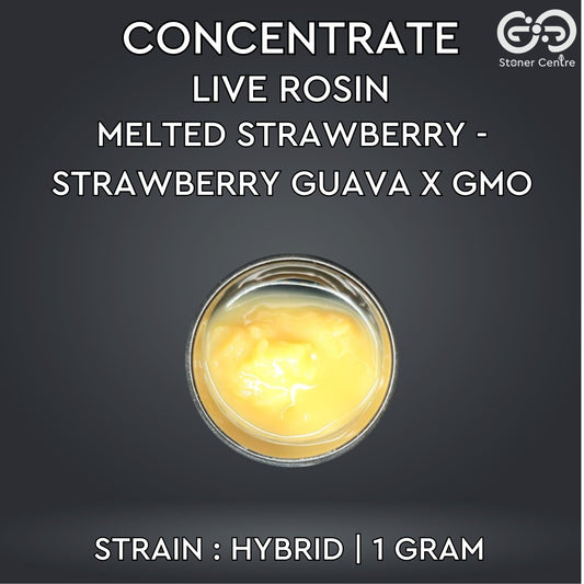 CONCENTRATE LIVE ROSIN | MELTED STRAWBERRY - STRAWBERRY GUAVA X GMO