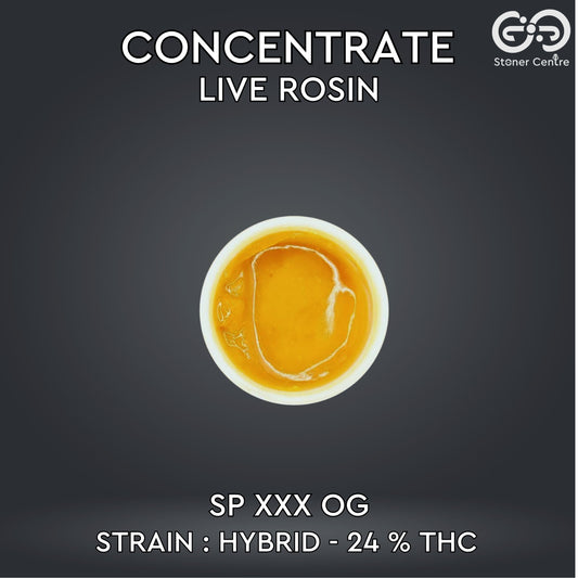 CONCENTRATE LIVE ROSIN | SP XXX OG