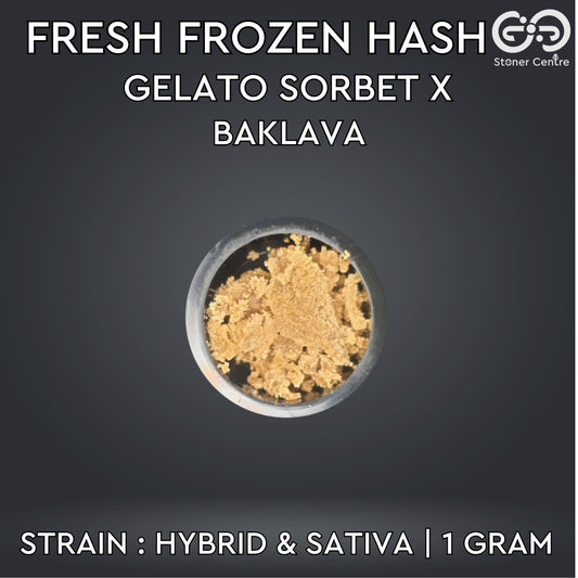 FRESH FROZEN HASH | Gelato Sorbet X Baklava
