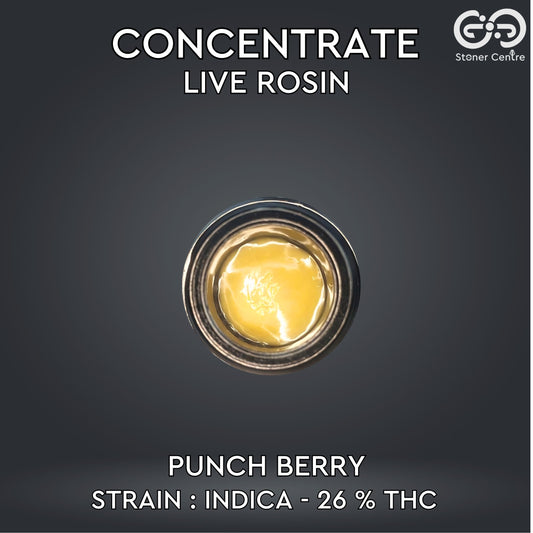 CONCENTRATE LIVE ROSIN | TIER 2 - PUNCH BERRY