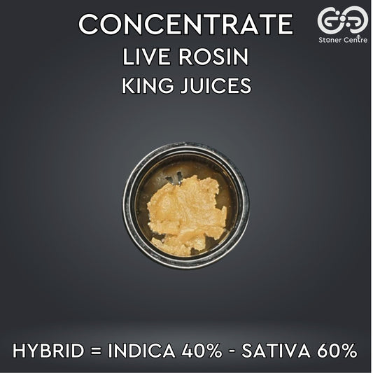 CONCENTRATE | LIVE ROSIN - KING JUICES
