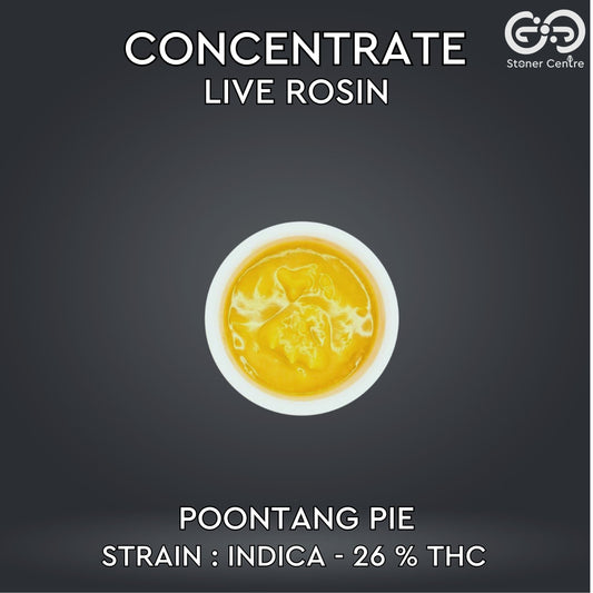 CONCENTRATE LIVE ROSIN | POONTANG PIE