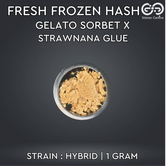 FRESH FROZEN HASH | Gelato Sorbet X Strawnana Glue