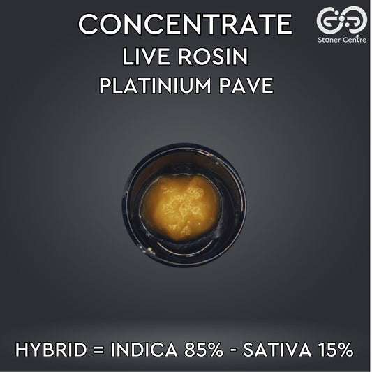 CONCENTRATE | LIVE ROSIN - PLATINIUM PAVE