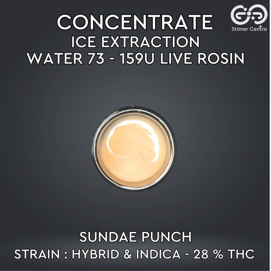 CONCENTRATE - ICE EXTRACTION WATER 73 - 159U LIVE ROSIN | SUNDAE PUNCH