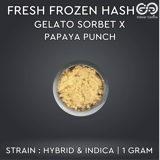 FRESH FROZEN HASH | Gelato Sorbet X Papaya Punch