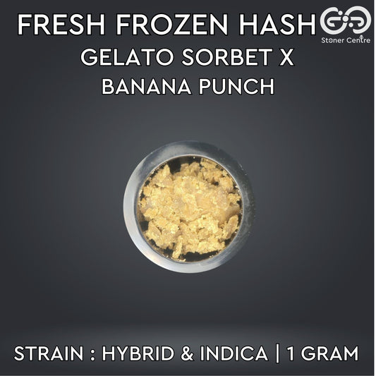 FRESH FROZEN HASH | Gelato Sorbet X Banana Punch