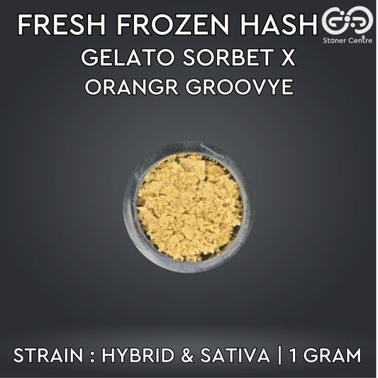FRESH FROZEN HASH | Gelato Sorbet X Orange Groovye