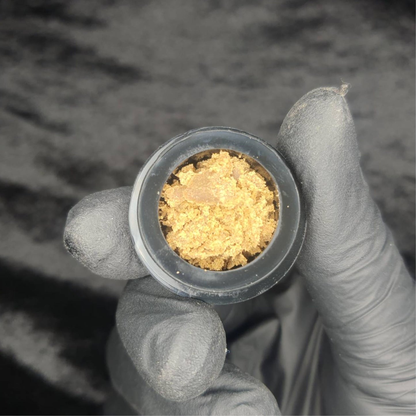 FRESH FROZEN HASH | Gelato Sorbet X Forbidden Sangria