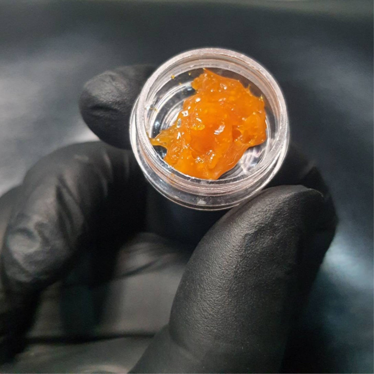 BHO CONCENTRATE | NSI (WAX)