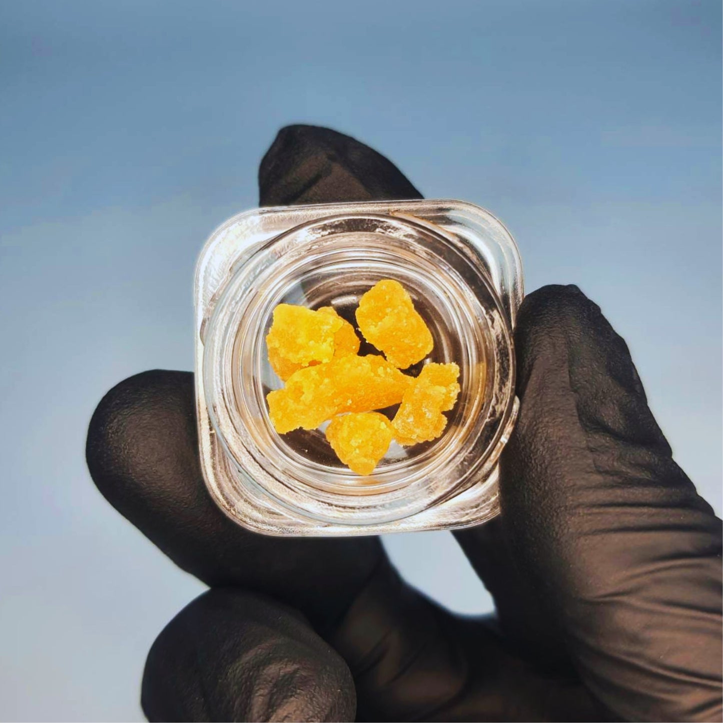 CONCENTRATE | LIVE RESIN SUGAR - VICE BEACH BERRY